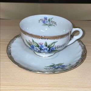 Shafford hand painted tea cup & saucer